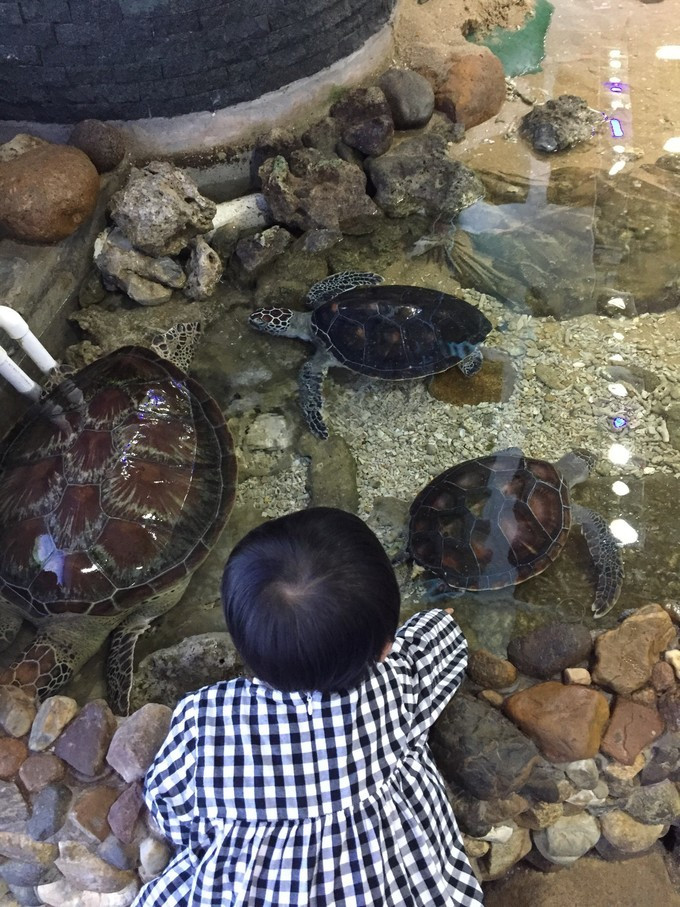 美丽的三亚蓝天白云,三亚蓝天白云美景