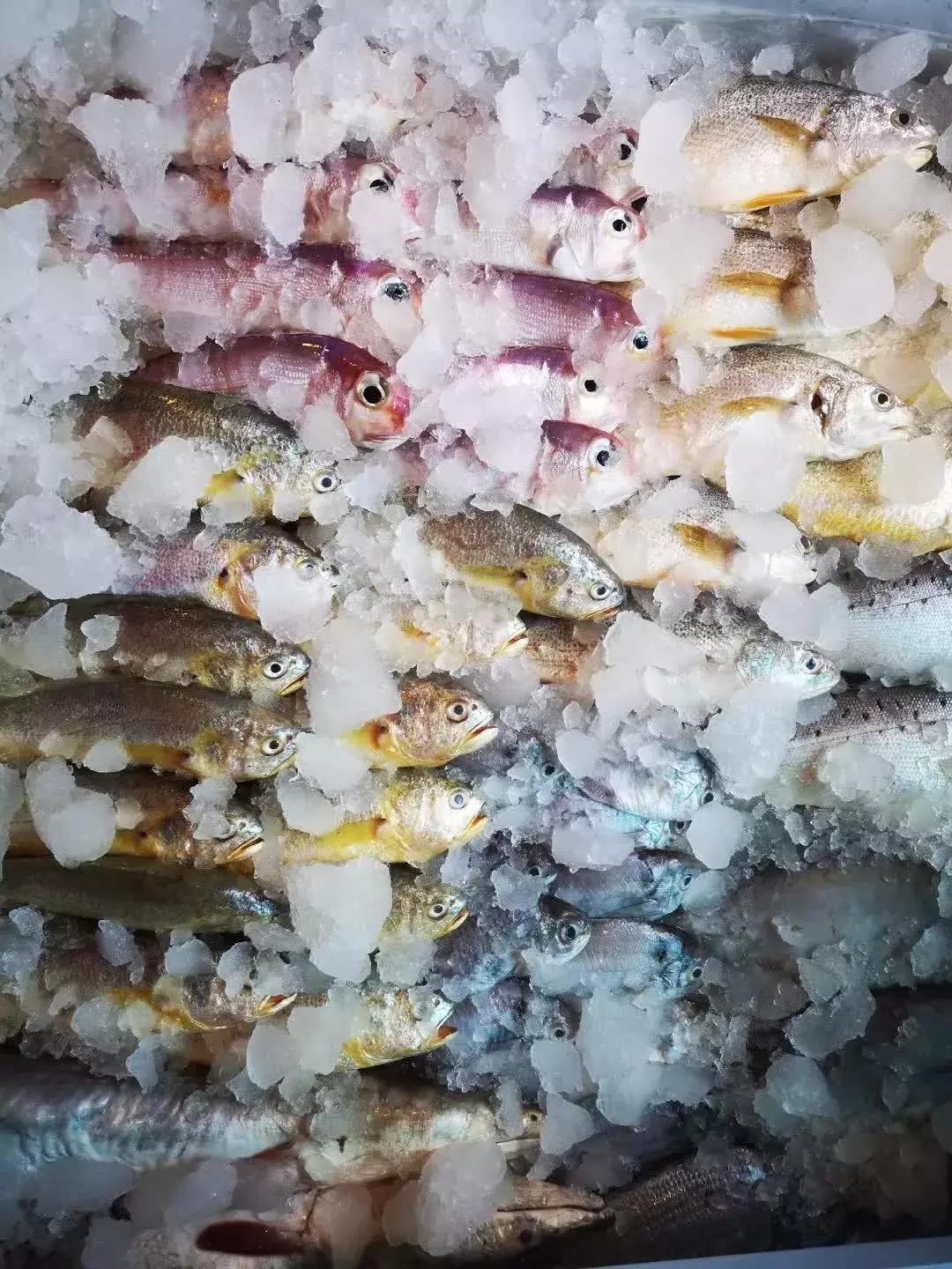 从世界500强企业辞职创业,从世界500强辞职