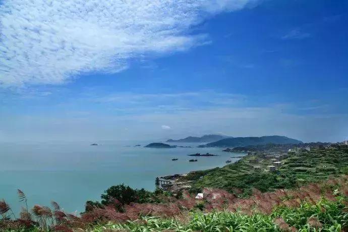 从世界500强企业辞职创业,从世界500强辞职