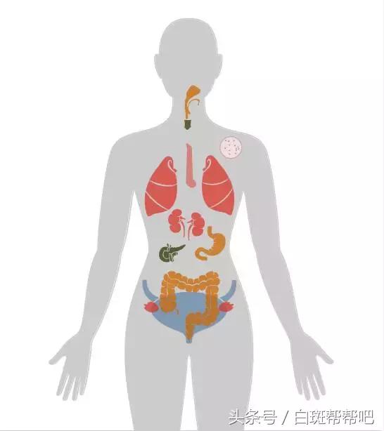 李咏是因为癌症死亡的吗,李咏得的啥癌症为什么葬在美国