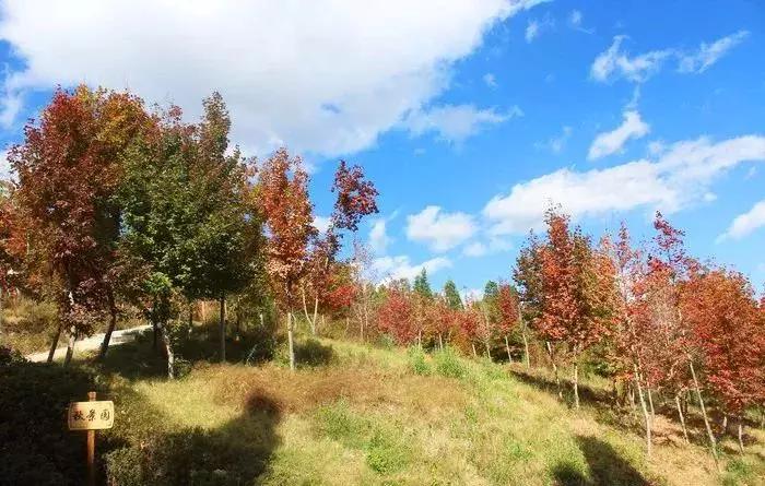 昆明市好消息,云南昆明好消息