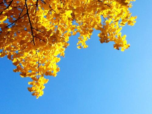 冬季进补来年打虎,今冬进补来年打虎该怎么补