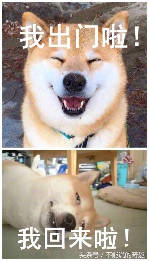 小孩握拳捂嘴笑表情包,握拳男孩表情包大全集