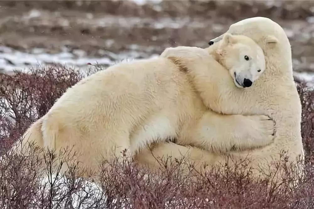 石药集团产品分析,石药集团深度分析