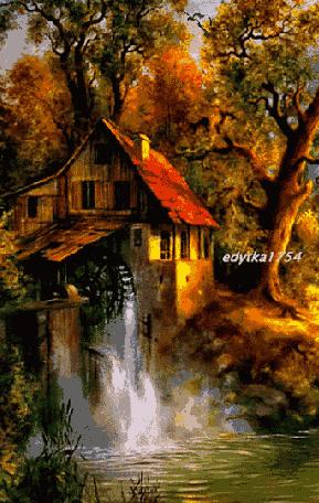 会动的漂亮图片,会动的花草图片