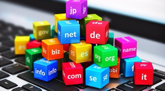 域名到期不续费被赎回,域名续费期和高价赎回