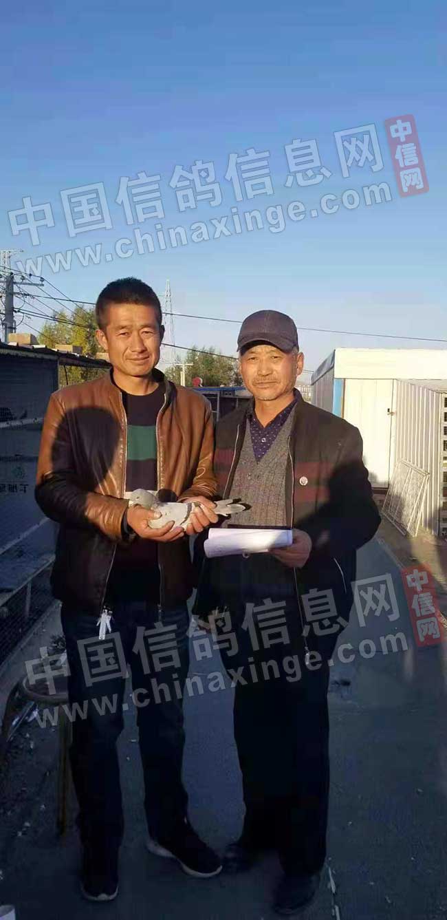 独家首发：宁夏国家赛三万羽总冠军照片