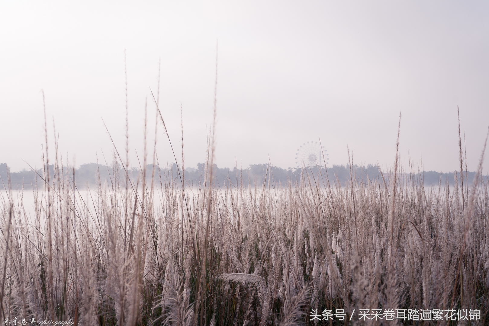 瑞丽夜晚打卡景点有哪些,瑞丽去哪里看风景