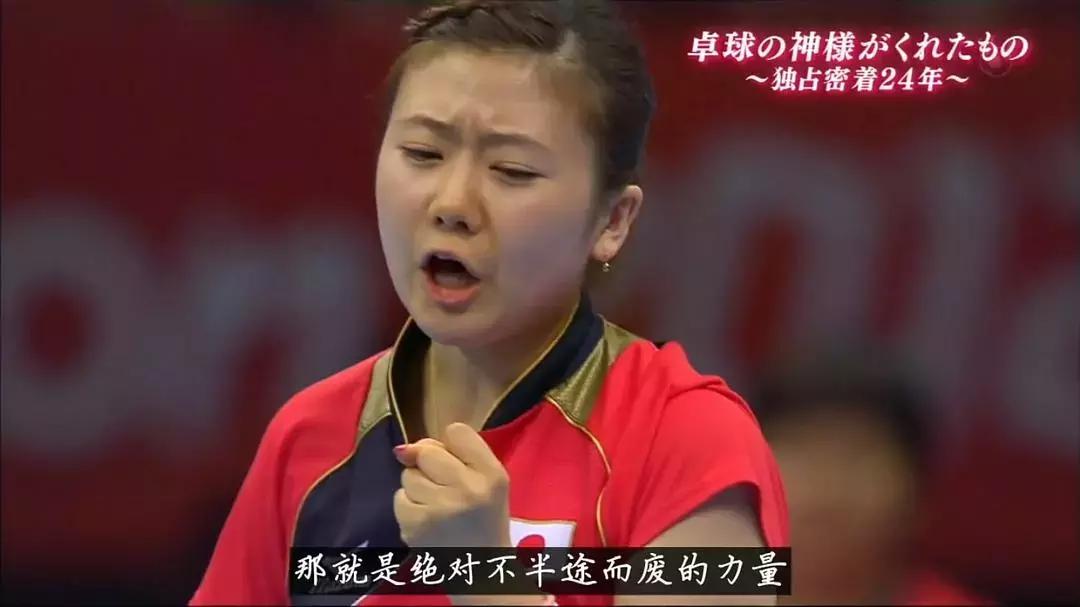 福原爱乒乓球成长经历,福原爱退役从小打球