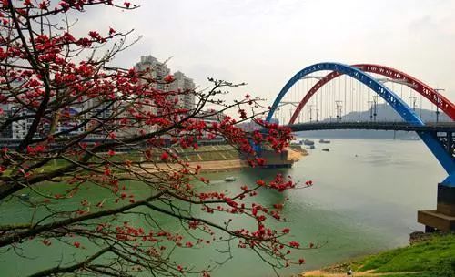 球队招募热血视频,球队招募运动员