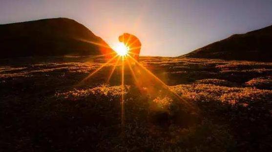 微商引流软文大全,微商引流送礼品软文