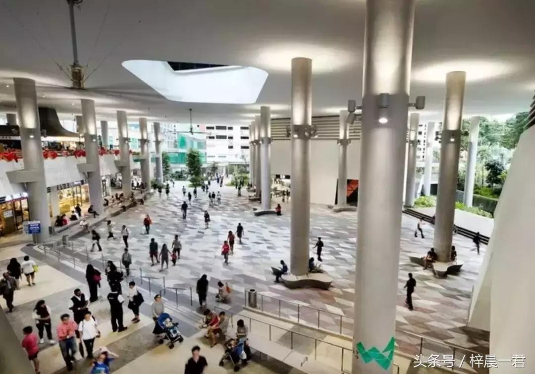 浦东与新加坡人口密度,新加坡面积与人口密度