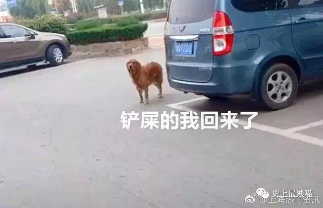 网友在微商那花5000买了个丁丁增大器？结果……