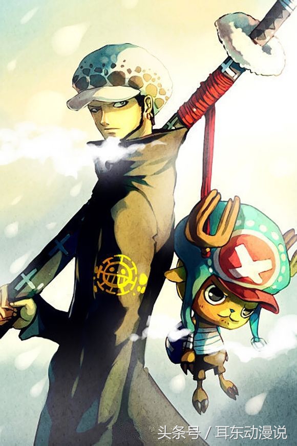 海贼王中四个拥有治疗能力的人，只有一个真的不会杀人？