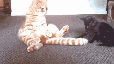 男性的4个行为很伤女性的子宫,这个行为值得原谅吗知乎