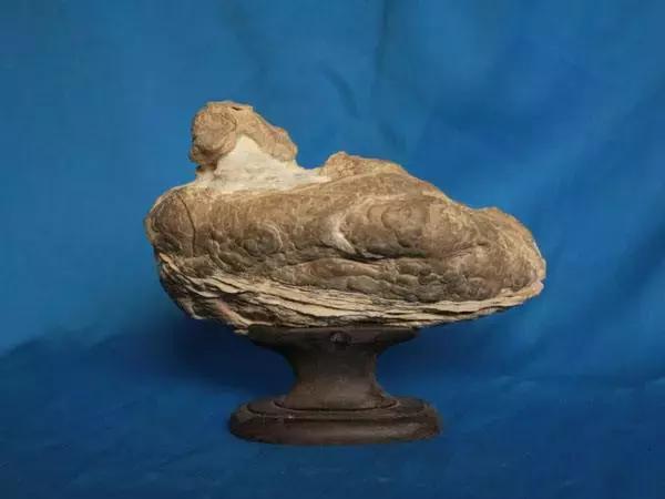 80种中国奇石让你认石不难,奇石种类一览表图解