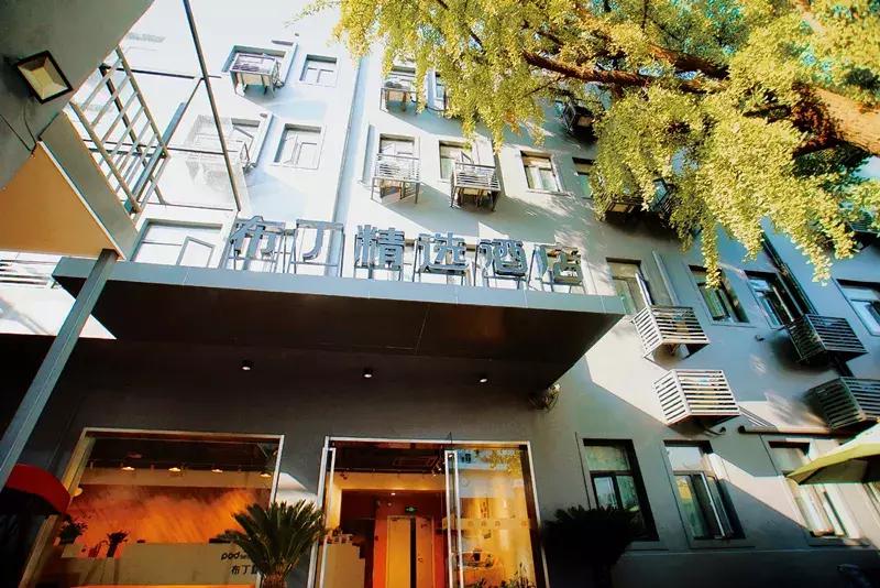 苏州上方山银杏景点,苏州银杏树拍照打卡攻略