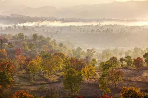 大悟,一个和婺源相媲美的地方,等了一整年的最红秋色终于来了!