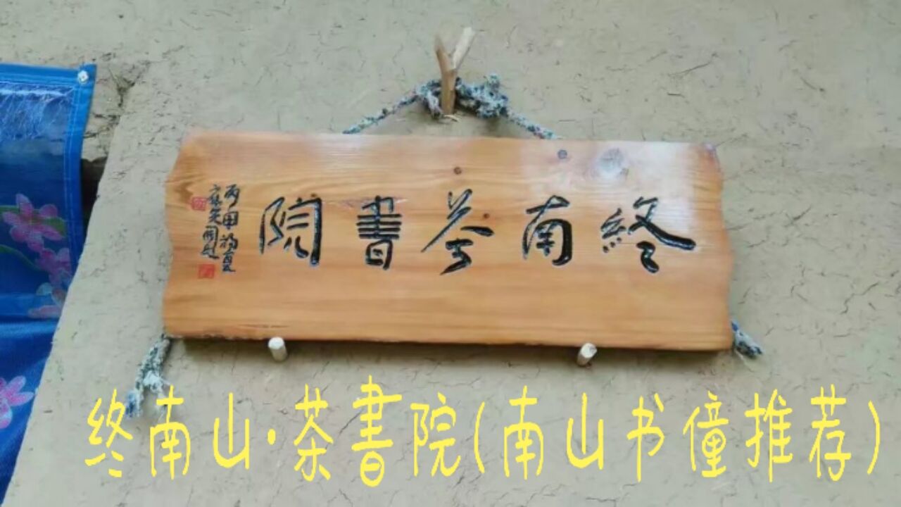 太乙游龙山终南茶书院——《问道》南山书僮文/尉迟英子