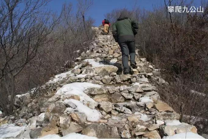 长城文化带古树,长城历史文化带你去旅行