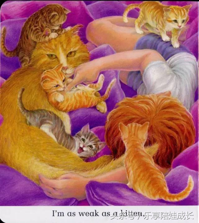 quickasacricket翻译,绘本磨耳朵故事视频