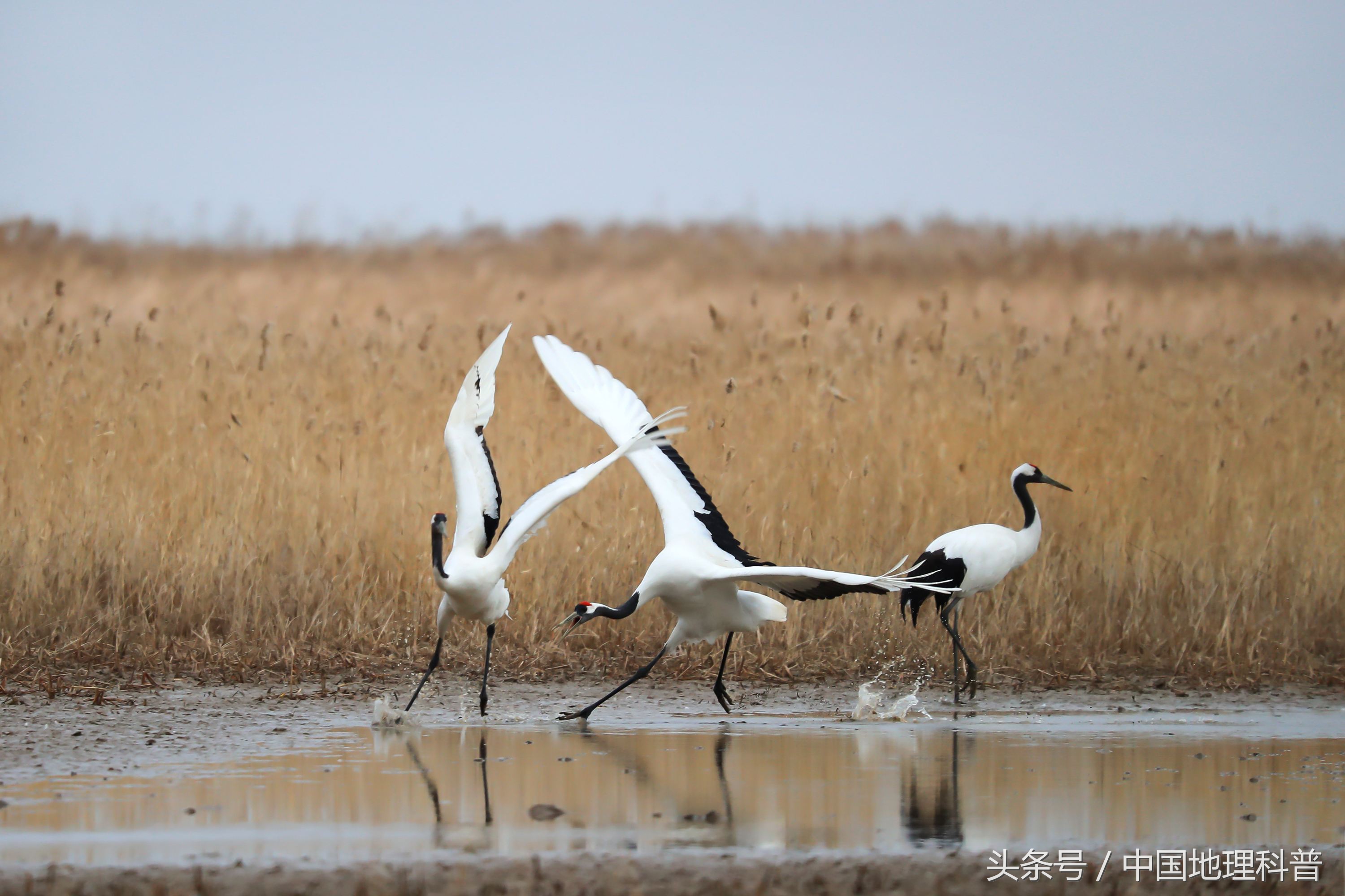 辽宁省的自然地理和人文地理,辽宁地理风光分布图