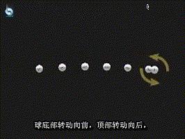 乒乓球的基本知识与打法视频,乒乓球入门理论知识