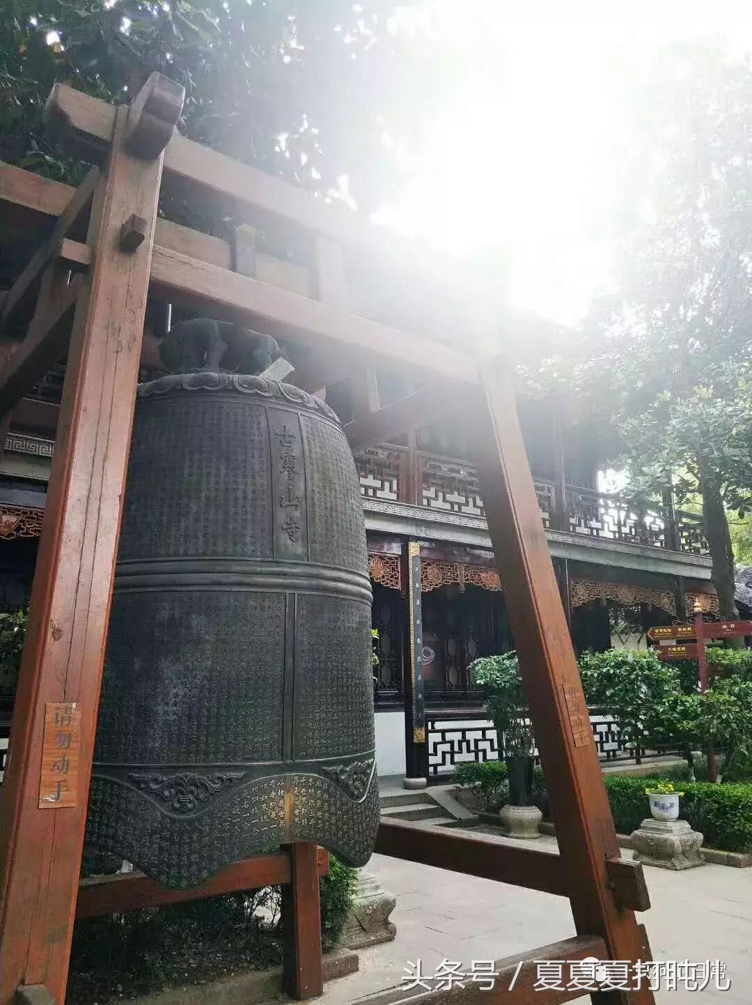 一只狗的旅游记,一只狗去洛阳旅游