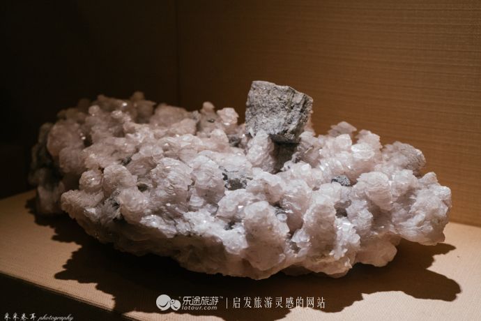 鑵惧啿鐏北鐑捣鏅尯闂ㄧエ缃戜笂璐エ,浜戝崡鑵惧啿鐑捣鏅尯