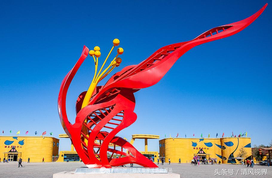 千年的等待纯音乐,金塔胡杨林美照