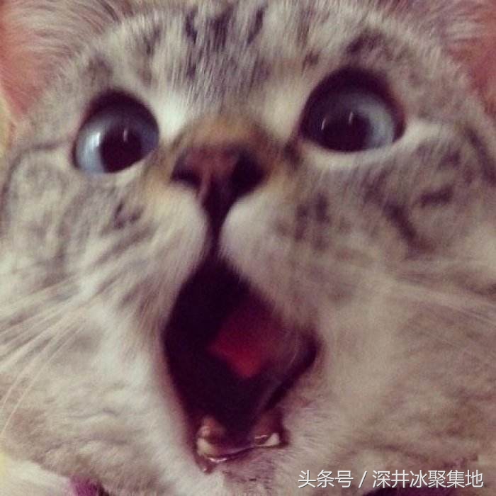 次日，数名AV男优宣布退役