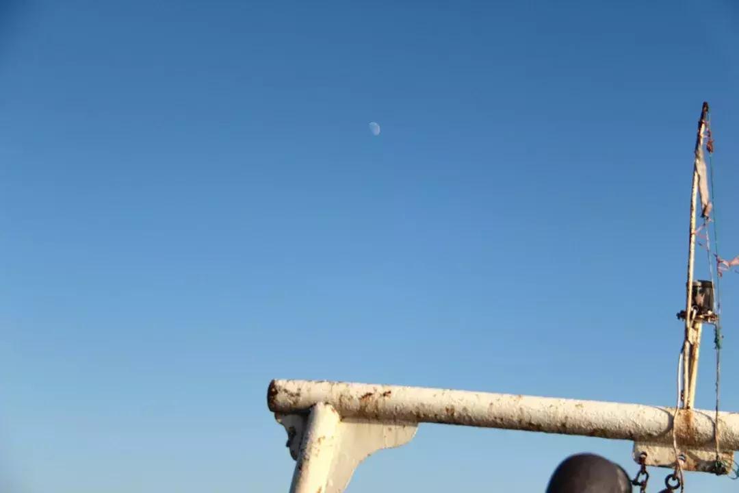 娴欐睙鍙板窞瀹濊棌鐢峰,鍙板窞瀹濊棌鐢风敓