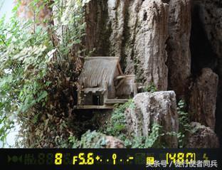 适合新手的便宜功能全的相机,华为手机相机的实用功能