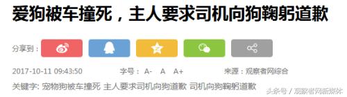 没拴绳的狗被车撞需要赔偿么,没拴狗绳的狗被车撞了负责吗