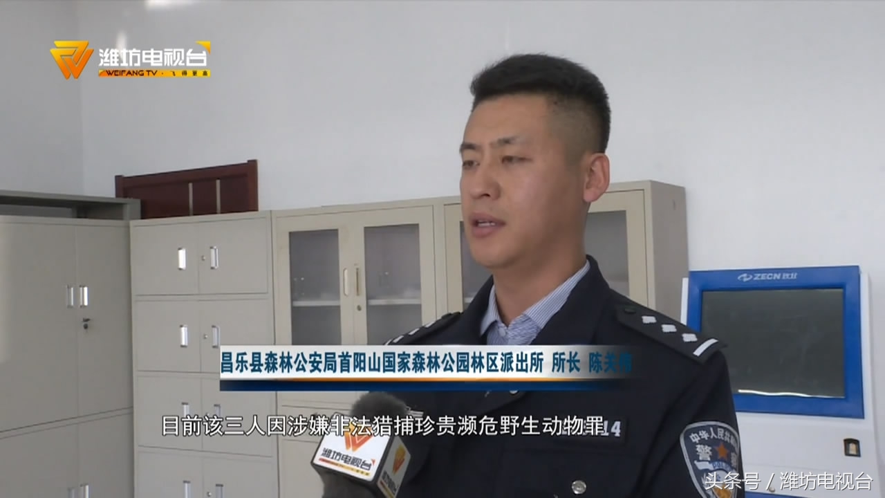 收藏二级保护动物标本违法吗,贩卖国家二级保护动物怎么办