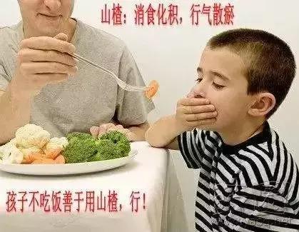 每日一颗山楂,每日一药山茱萸