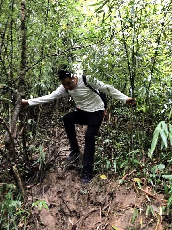 新鲜龙须笋的家常做法,龙须笋的正确食用方法