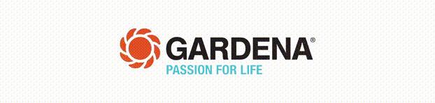 双十一，这次玩大了！