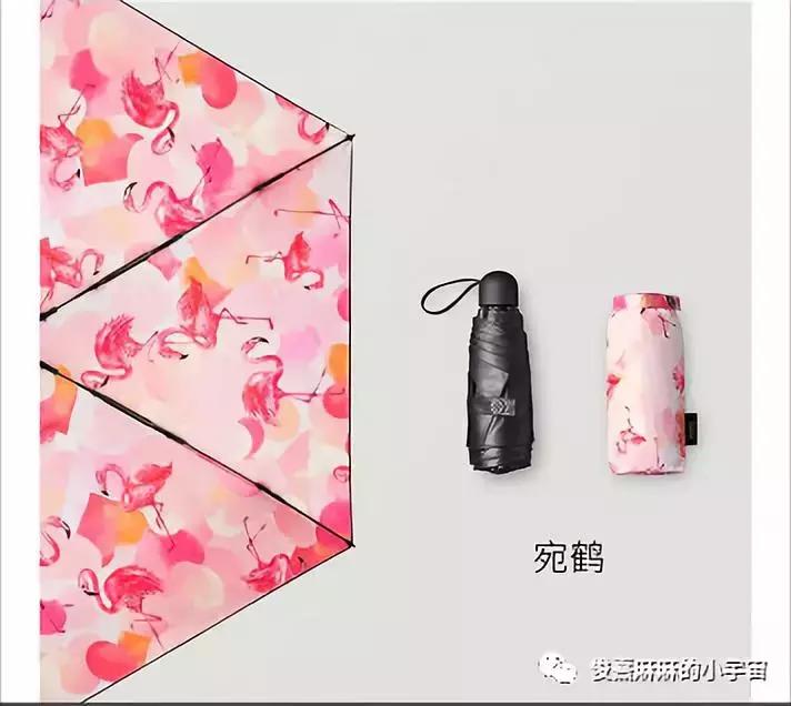 2023年春季种草大会,种草大会自然堂