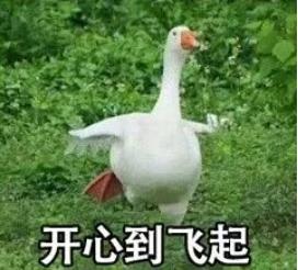 截长图工具软件排行,免费的长图制作工具