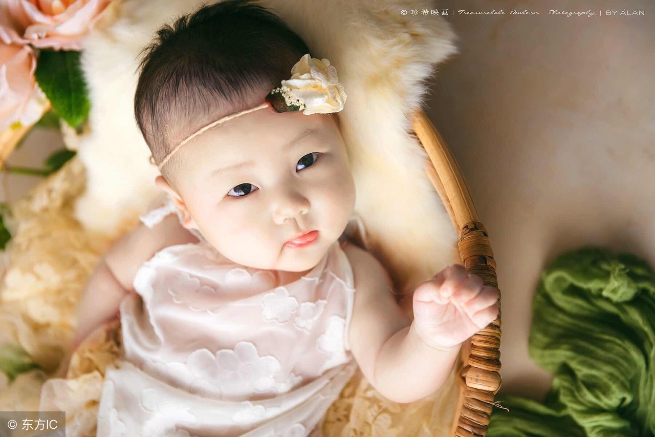 2019猪年女宝宝取名字大全 (求姓郑2019猪年女孩起名)