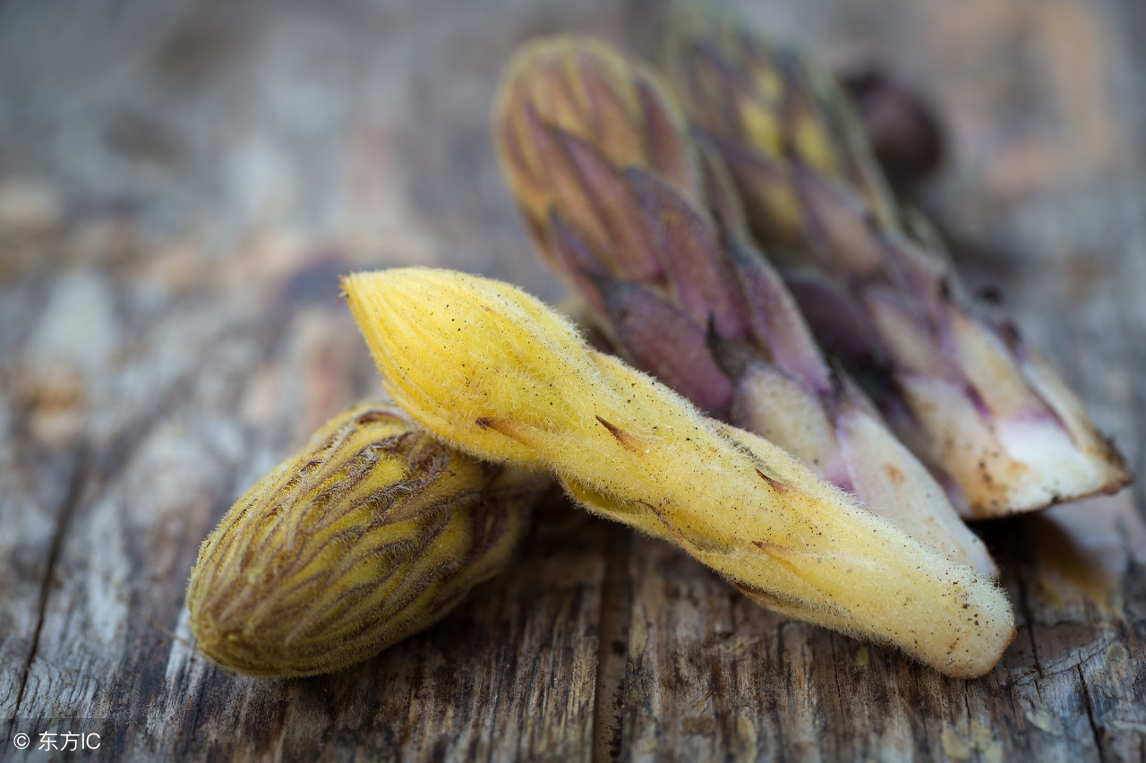 内蒙古阿拉善肉苁蓉直销,阿拉善野生肉苁蓉直播间