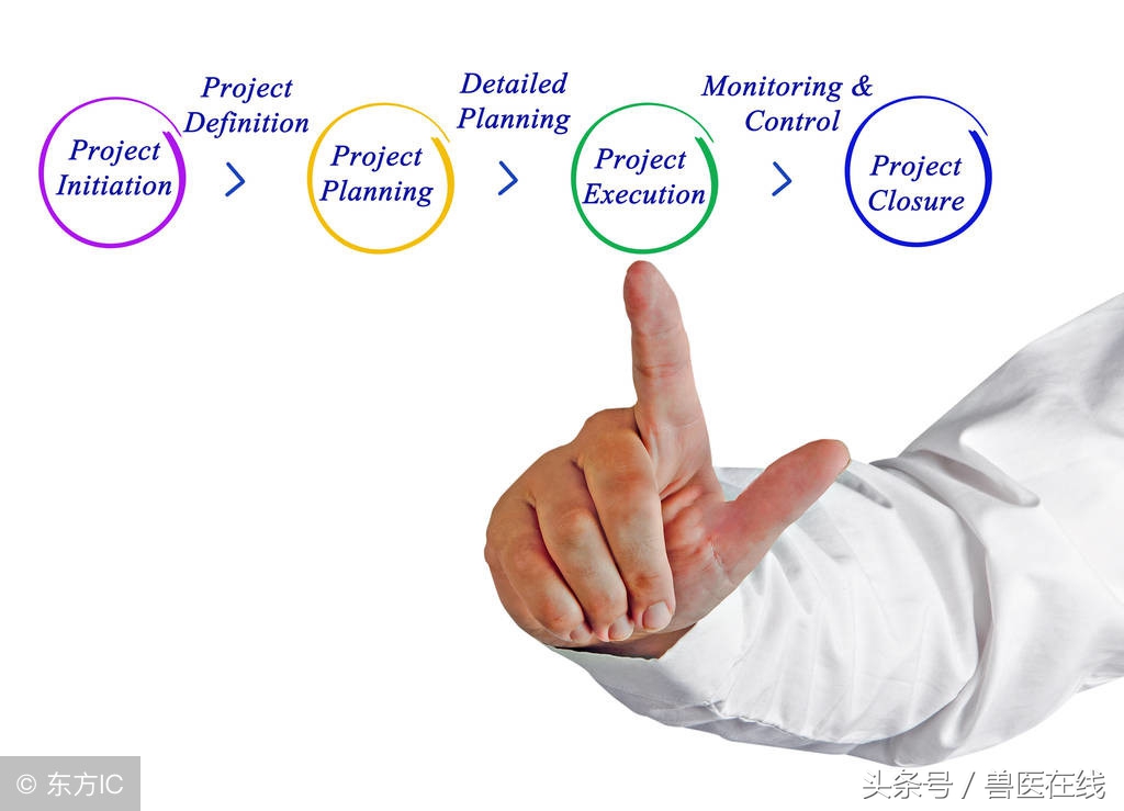 母猪产后不吃体温正常,母猪产后不吃体温正常怎么回事