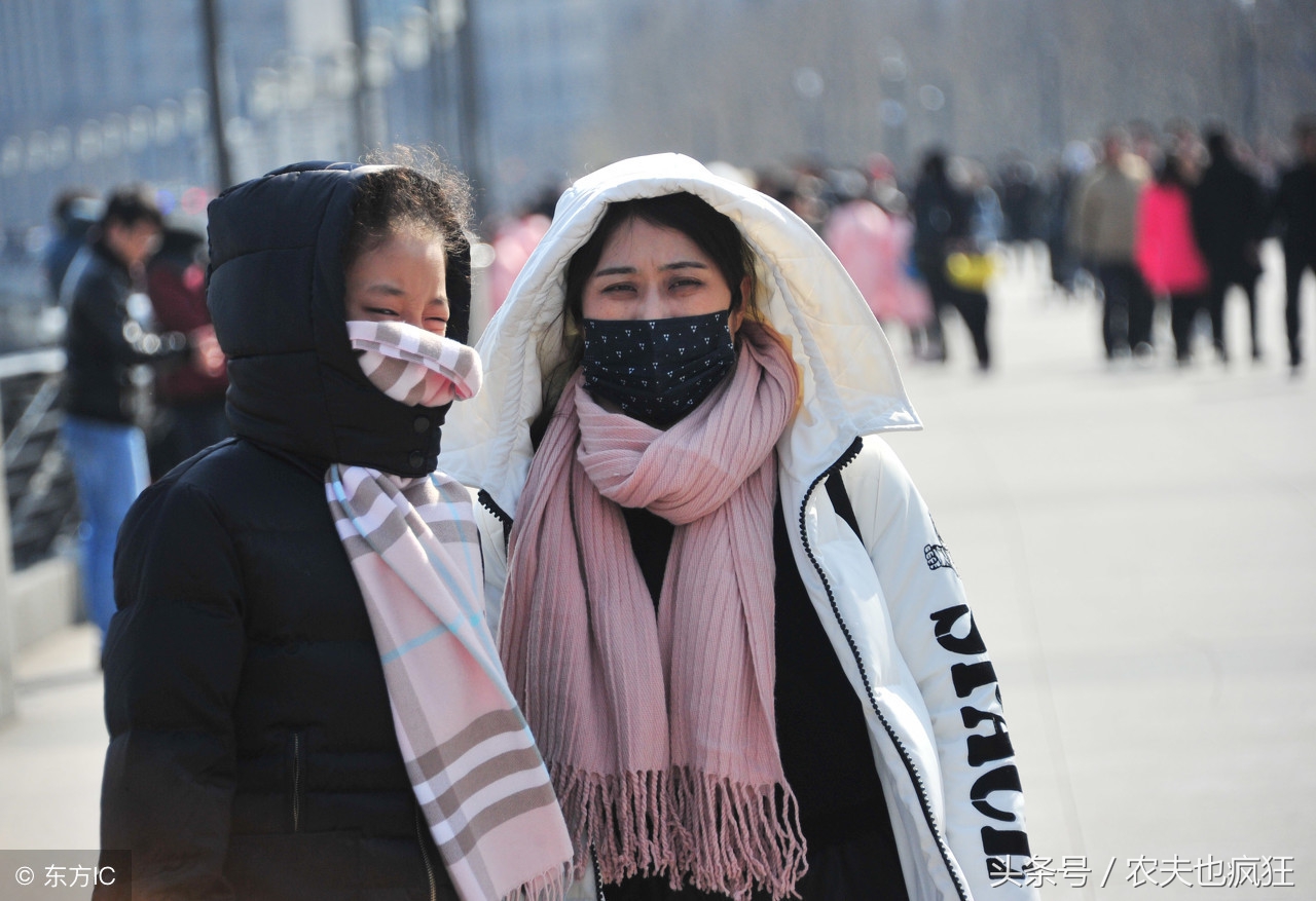 冬天数九是哪天开始,数九第几九最冷