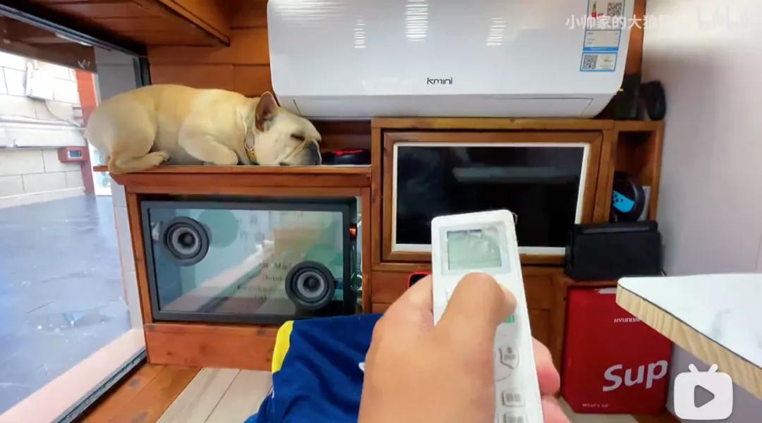 花三年建宠物乐园,花20万给狗打造乐园