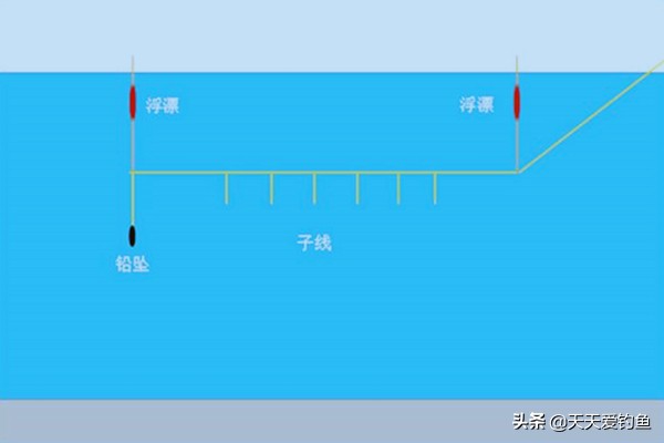 串钩钓草鱼的两种钓法,串钩浮钓草鱼的三大技巧