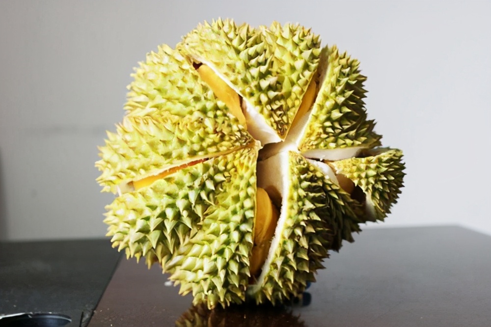 巴掌榴莲和甲仑榴莲哪个好,甲仑榴莲与金枕头榴莲口味