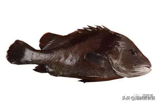 102种海鲜,营养丰富的海鲜有哪些品种