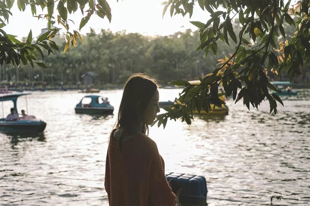 深圳这27个热门游玩地，坐2号线全都能到