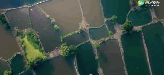 江苏这个“快乐”的城市,颜值不输苏杭,连苏东坡都在这养老